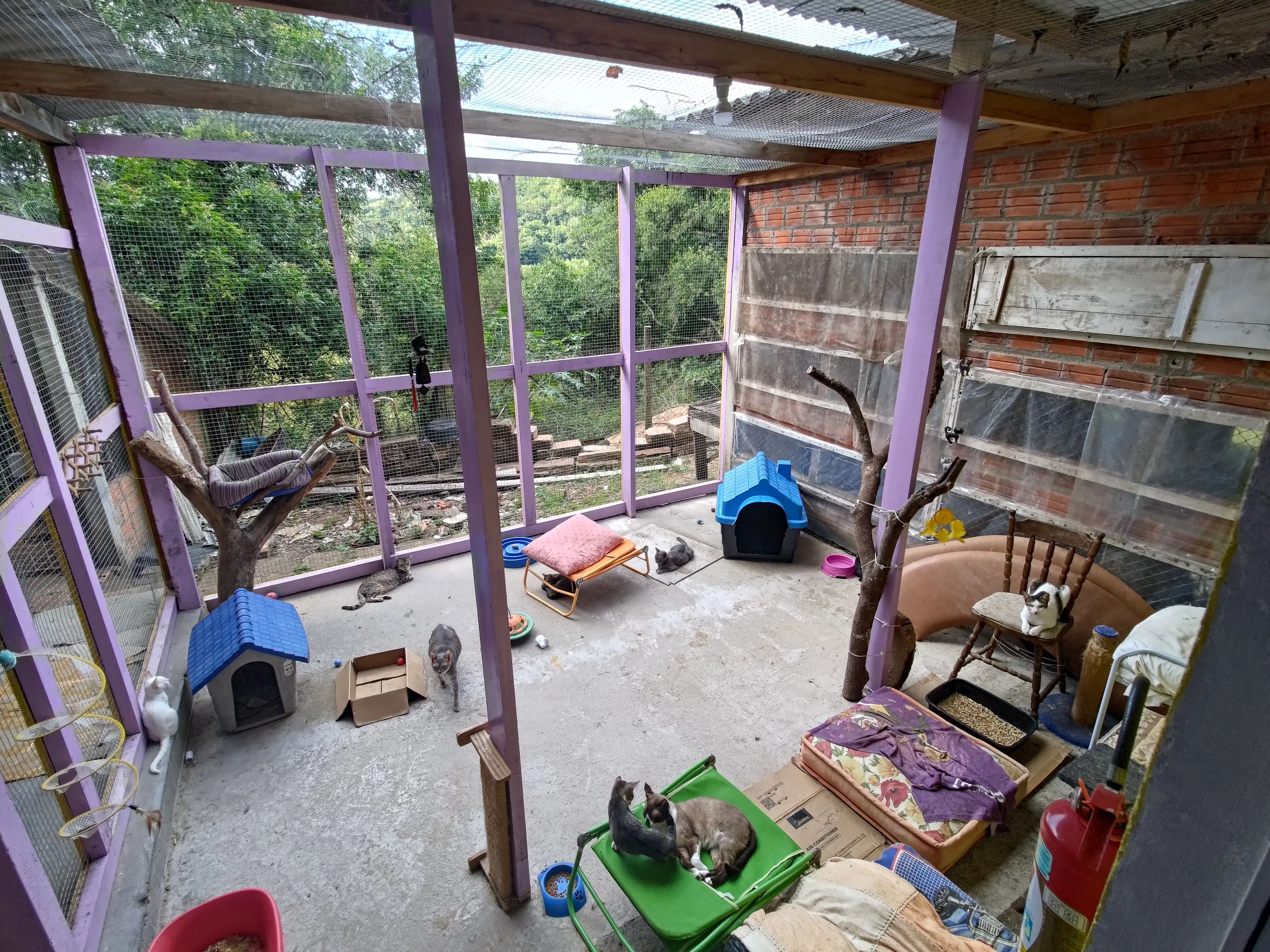 Foto da construção em andamento da extensão para o lar temporário dos gatinhos